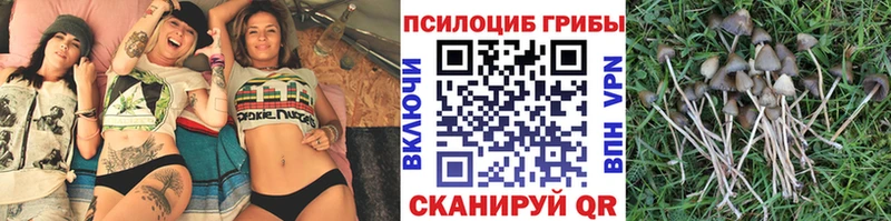 Галлюциногенные грибы ЛСД  это формула  Лермонтов 